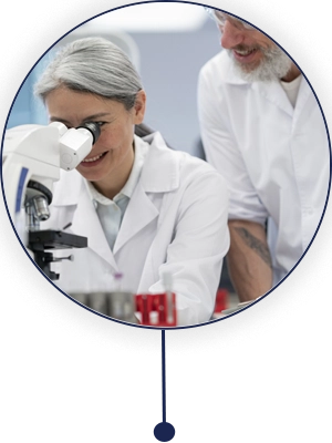 Champion Lenses laboratory research with microscope inspection