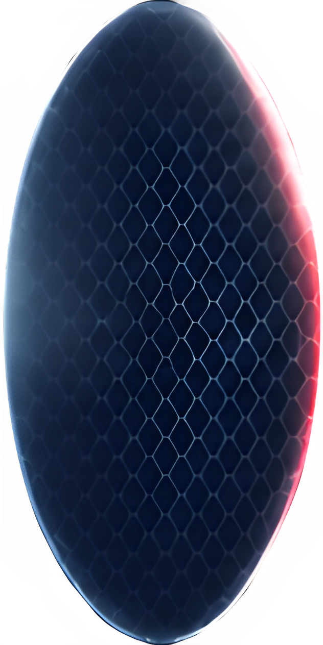 Champion Lenses dark optical lens with hexagonal grid reflection